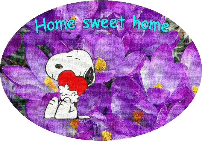 Knoodoo�s Forum